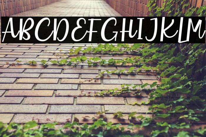 Charlote Earle Example 1