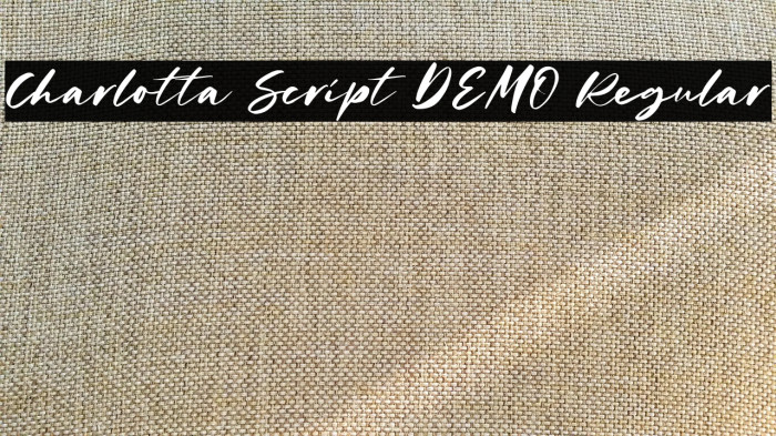 Charlotta Script DEMO Regular Example 1