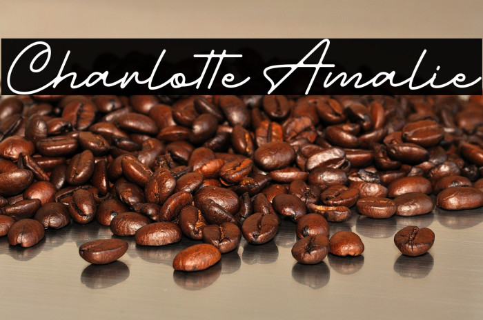 Charlotte Amalie Example 1