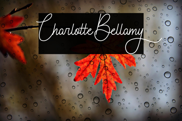 Charlotte Bellamy Example 2