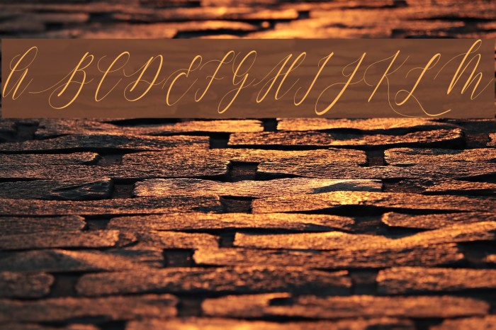Charlotte Calligraphy Slant Font examples