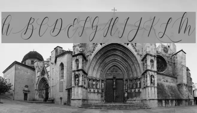 Charlotte Calligraphy Font examples