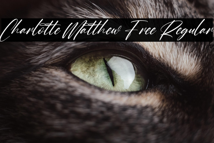 Charlotte Matthew Free Regular Example 2