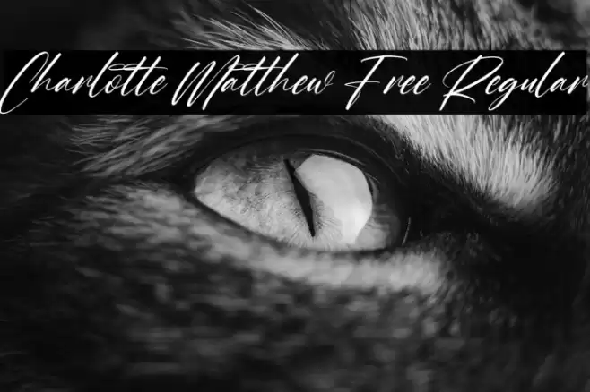 Charlotte Matthew Free Regular Fuentes examples
