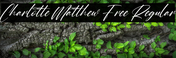 Charlotte Matthew Free Regular Example 3