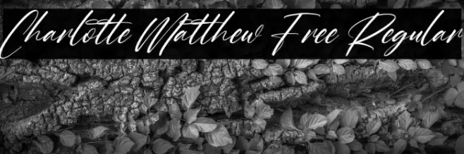 Charlotte Matthew Free Regular Fuentes examples