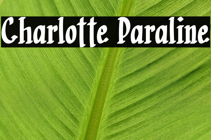 Charlotte Paraline Example 2