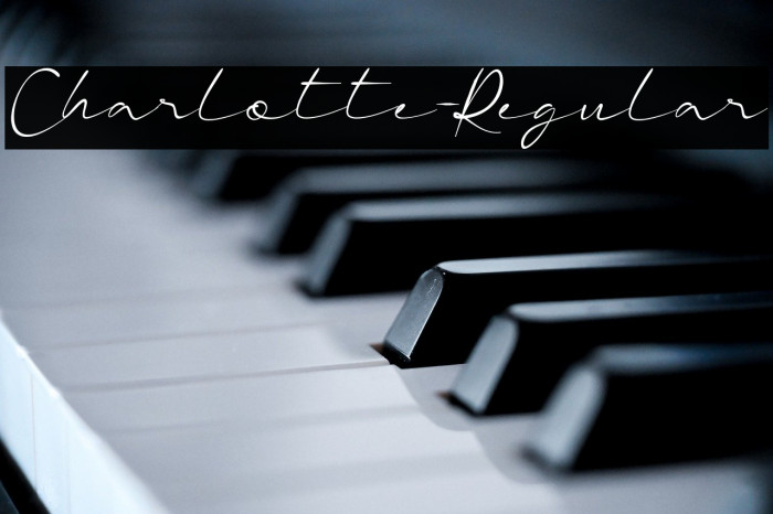 Charlotte-Regular Example 1