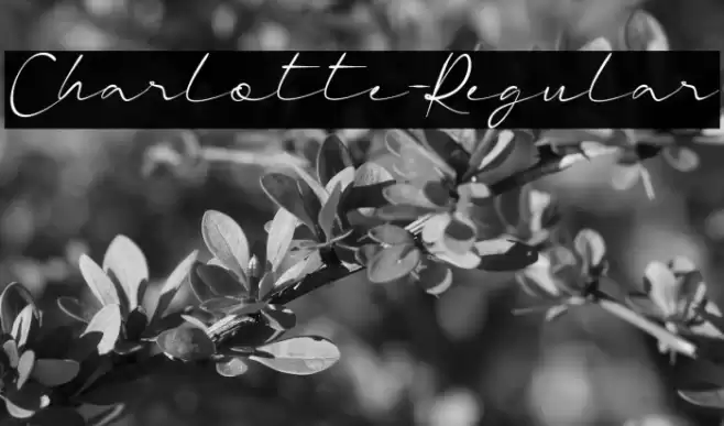 Charlotte-Regular Font examples