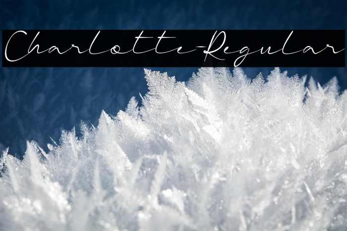 Charlotte-Regular Example 3