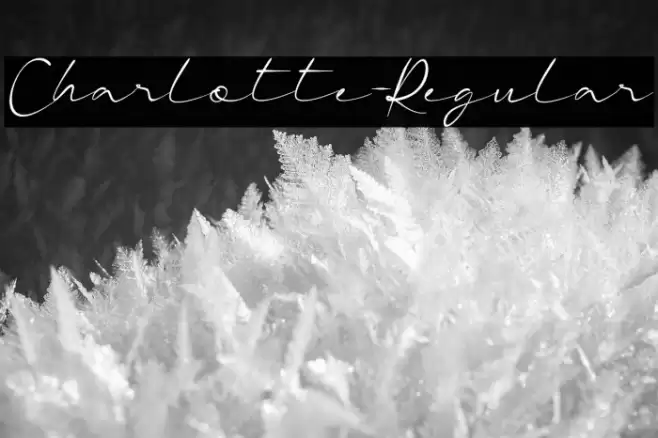 Charlotte-Regular Font examples