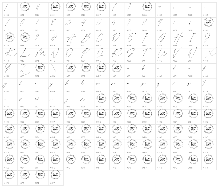 Charlotte Signature Demo Reg Character Map
