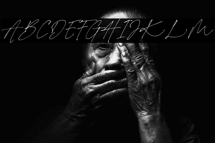 Charlotte Signature Demo Reg Example 1