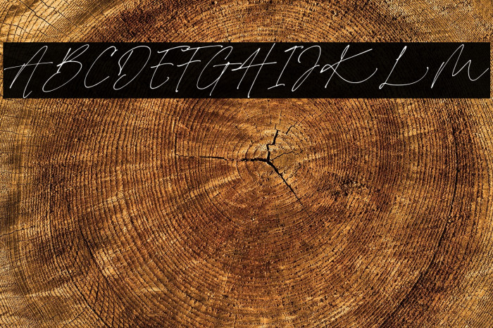 Charlotte Signature Demo Reg Example 3