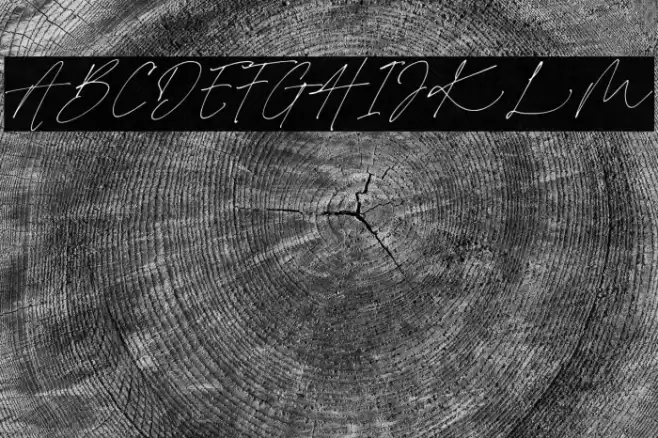 Charlotte Signature Demo Reg Font examples