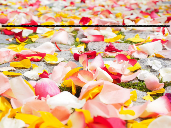 Charlotte Southern Swash Example 2