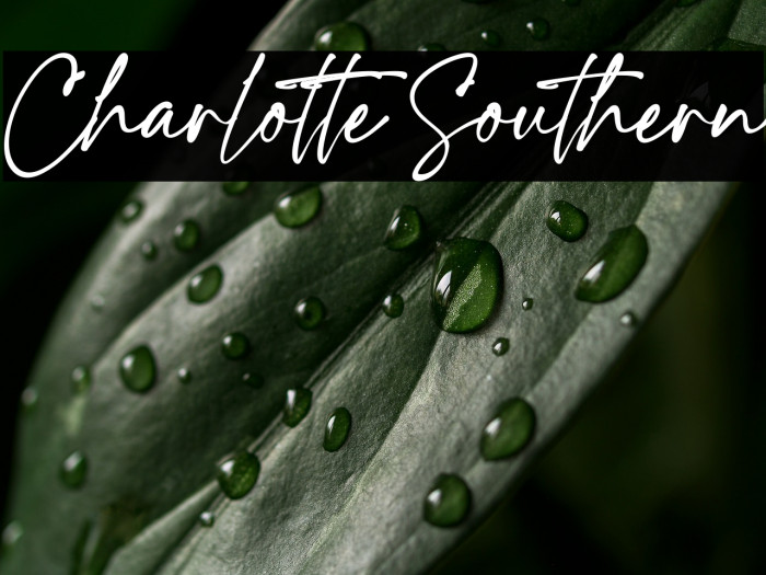 Charlotte Southern Example 1