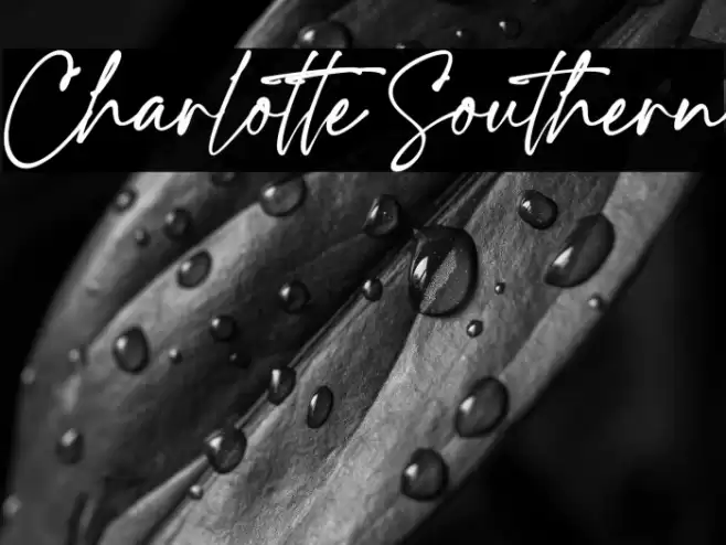 Charlotte Southern Font examples