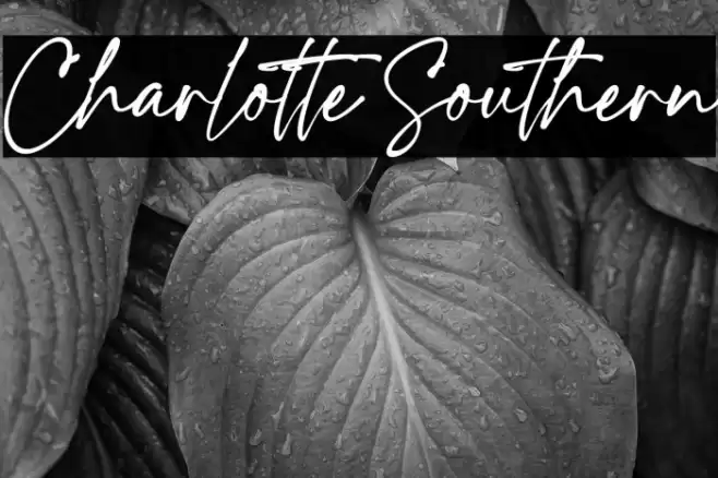 Charlotte Southern Font examples