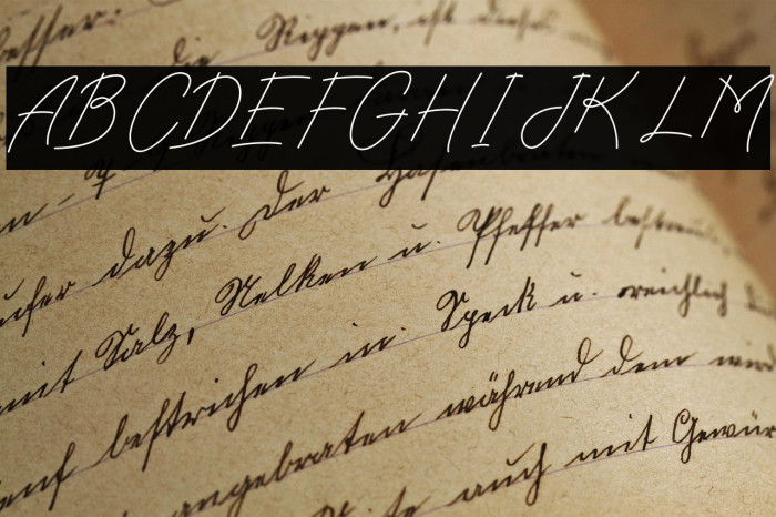 Charlotte Sweet Example 1