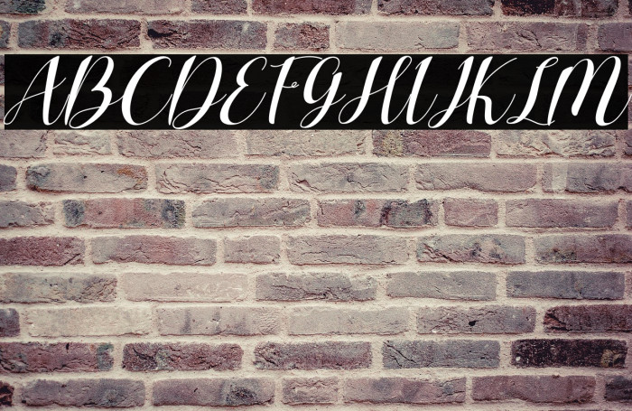 Charlotte Wilson Italic Example 1