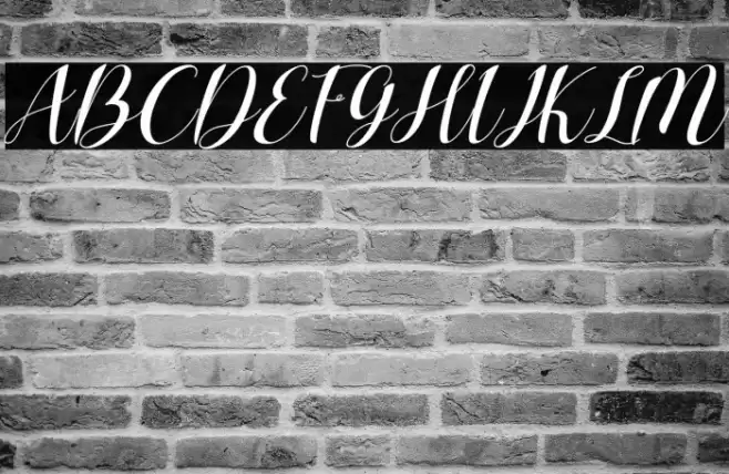 Charlotte Wilson Italic Font examples