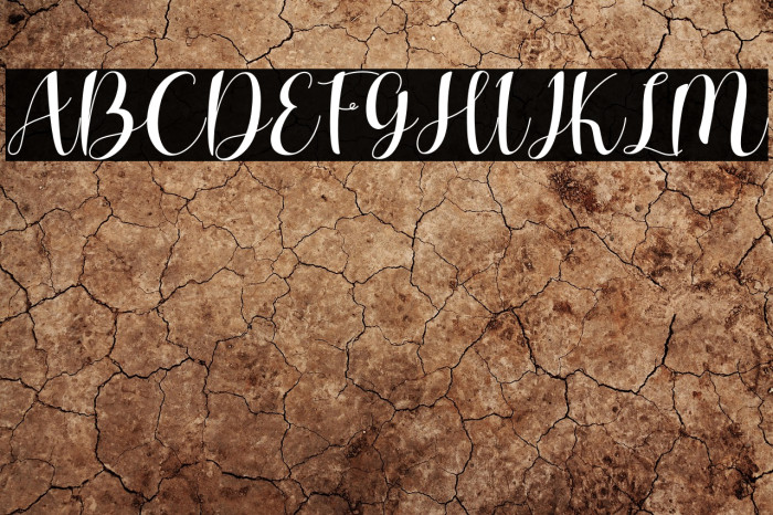 Charlotte Wilson Example 1