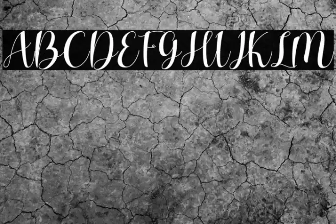 Charlotte Wilson Font examples