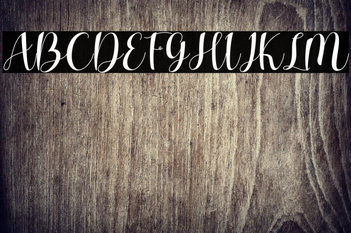 Charlotte Wilson Example 3