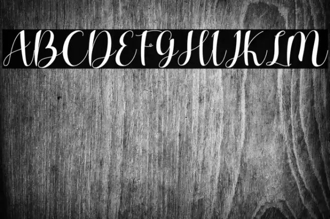 Charlotte Wilson Font examples