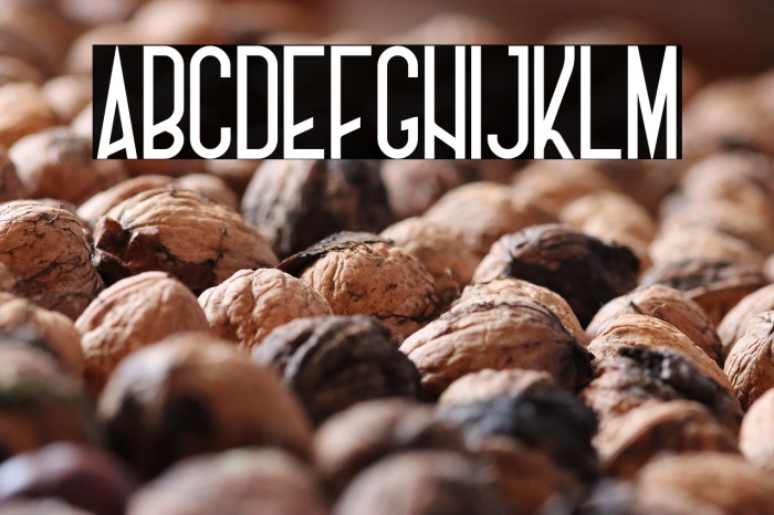 Charlotte sans Demo Regular Example 1