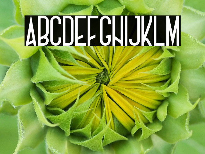 Charlotte sans Demo Regular Example 3