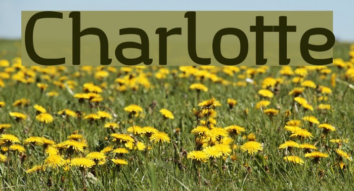 Charlotte Font examples