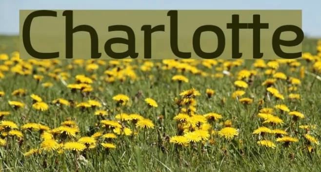 Charlotte Example 1