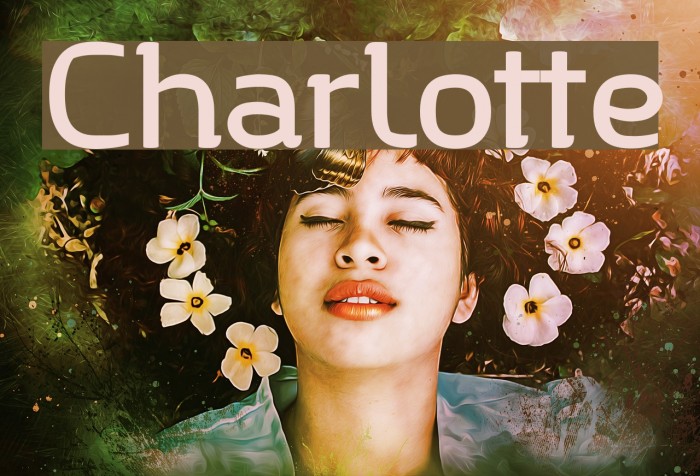 Charlotte Font examples