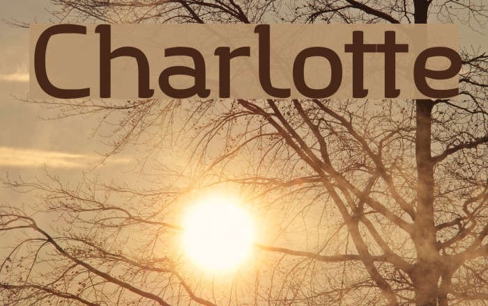 Charlotte Font examples