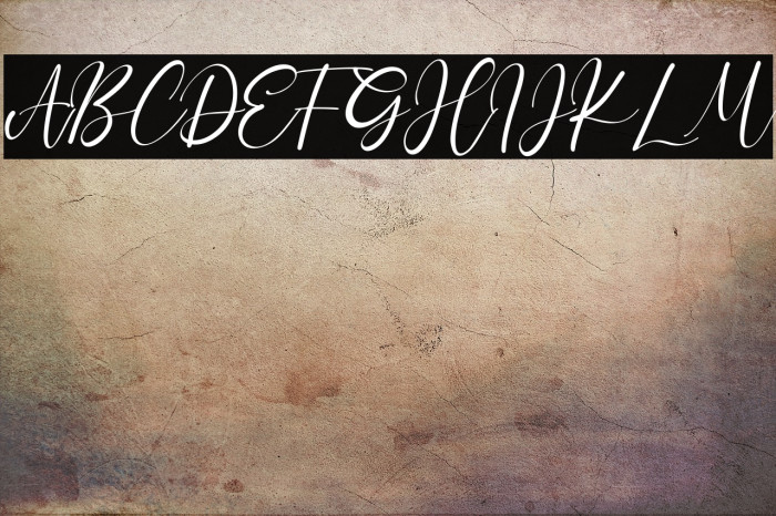 CharlotteBella Example 2