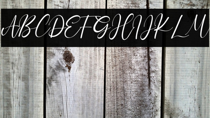 CharlotteBella Example 3