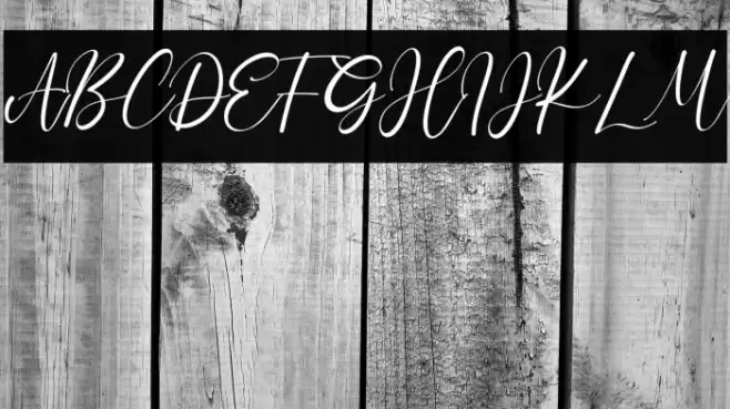 CharlotteBella Font examples