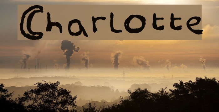 Charlotte Font examples