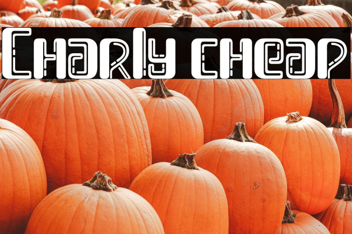 Charly cheap Example 2