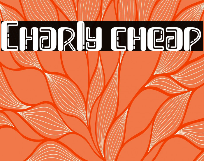 Charly cheap Example 3