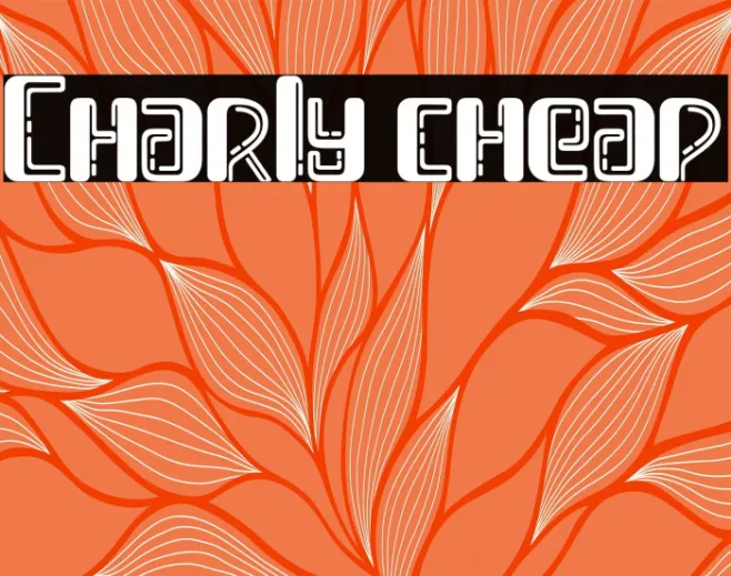 Charly cheap Example 3