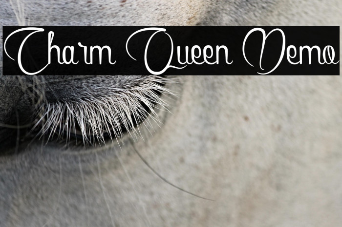 Charm Queen Demo Example 3