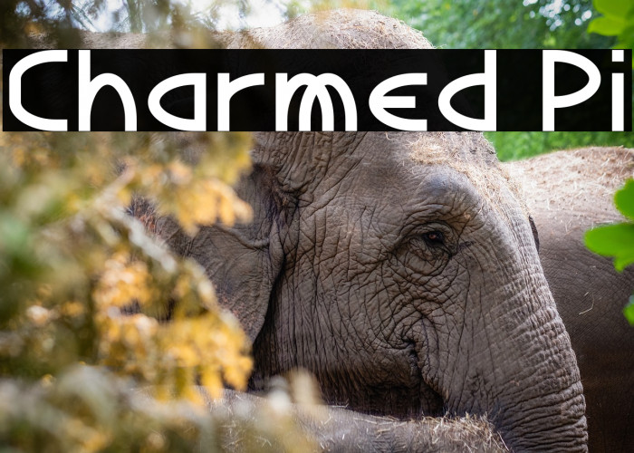 Charmed Pi Example 2