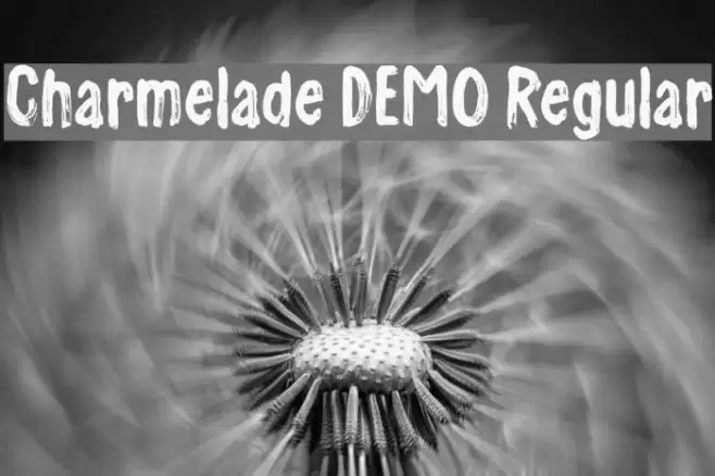Charmelade DEMO Regular Font examples