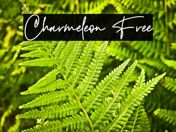 Charmeleon Free Example 2