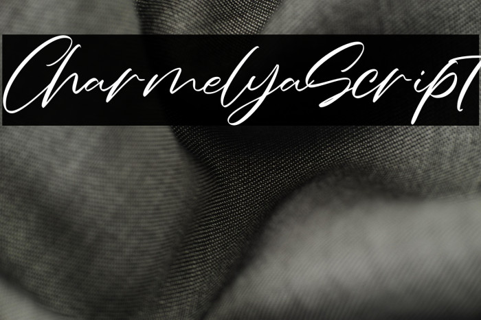 CharmelyaScript Example 3