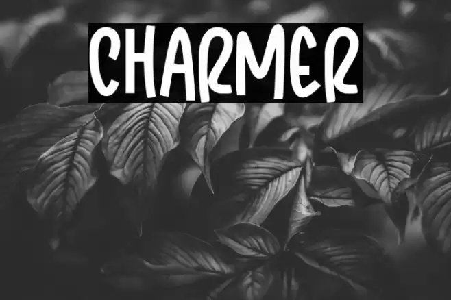 Charmer Шрифта examples