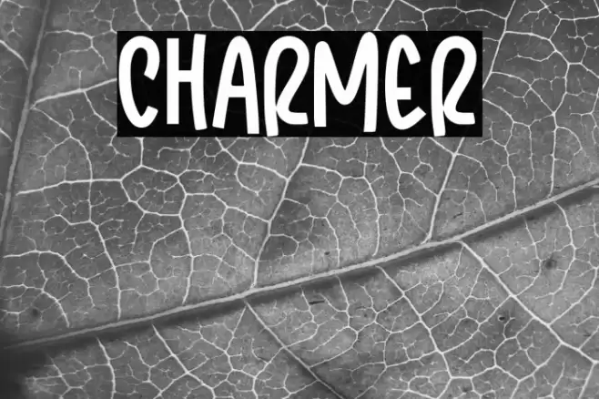 Charmer Шрифта examples